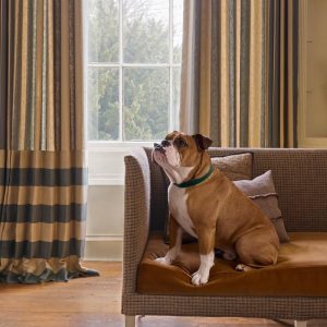 deLeCuona-Sofa-HACK3-Seat-VIE15-Curtains-CRAV2-Cushions-SAL3-WS1C-Dog-Lifestyle-LR